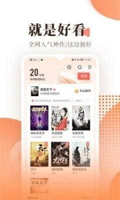 宜阅小说(2)