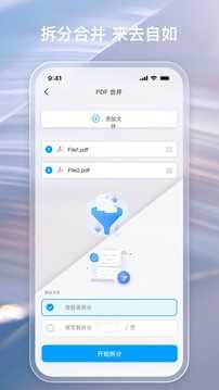 金闪PDF(4)