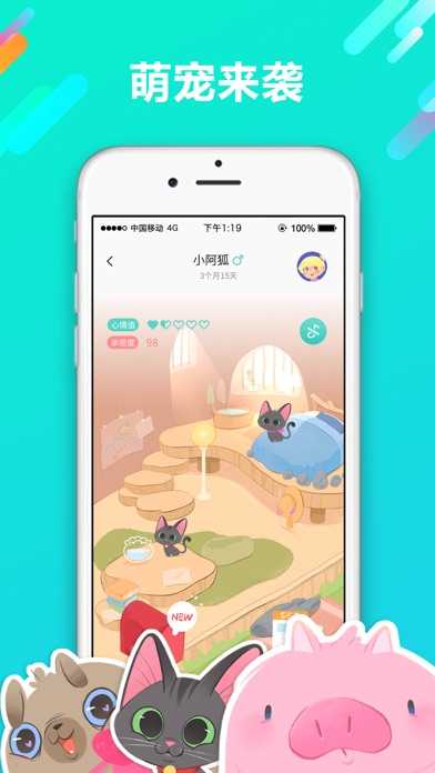 宠遇官方正版