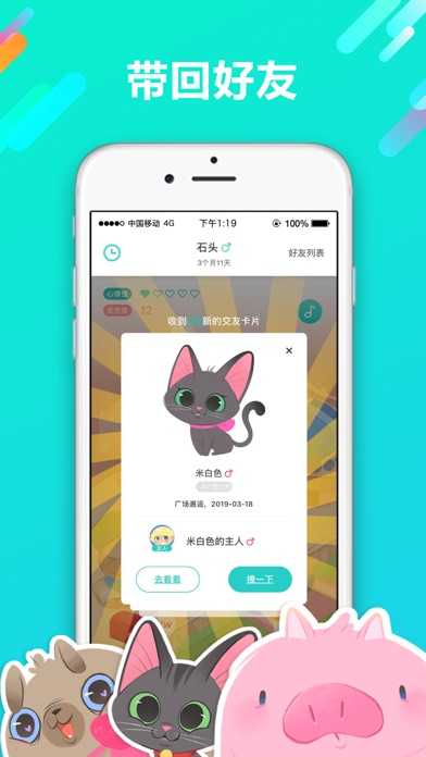宠遇官方正版