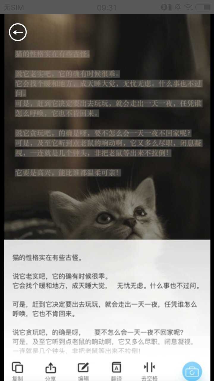 拍照取字安卓官方版