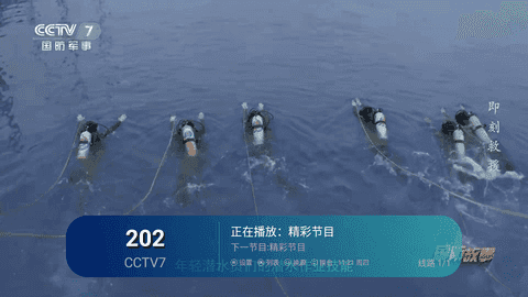 Mtv图1