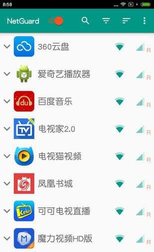 NetGuardPro直装已付费专业版