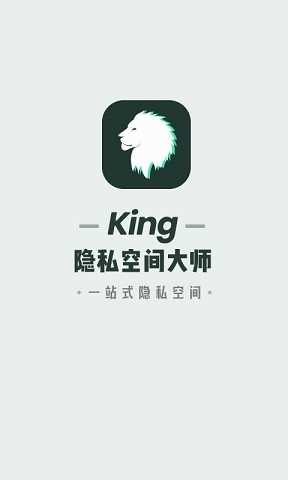 隐私空间大师直装版