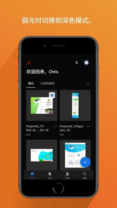 AdobeAcrobatReaderPDF原版
