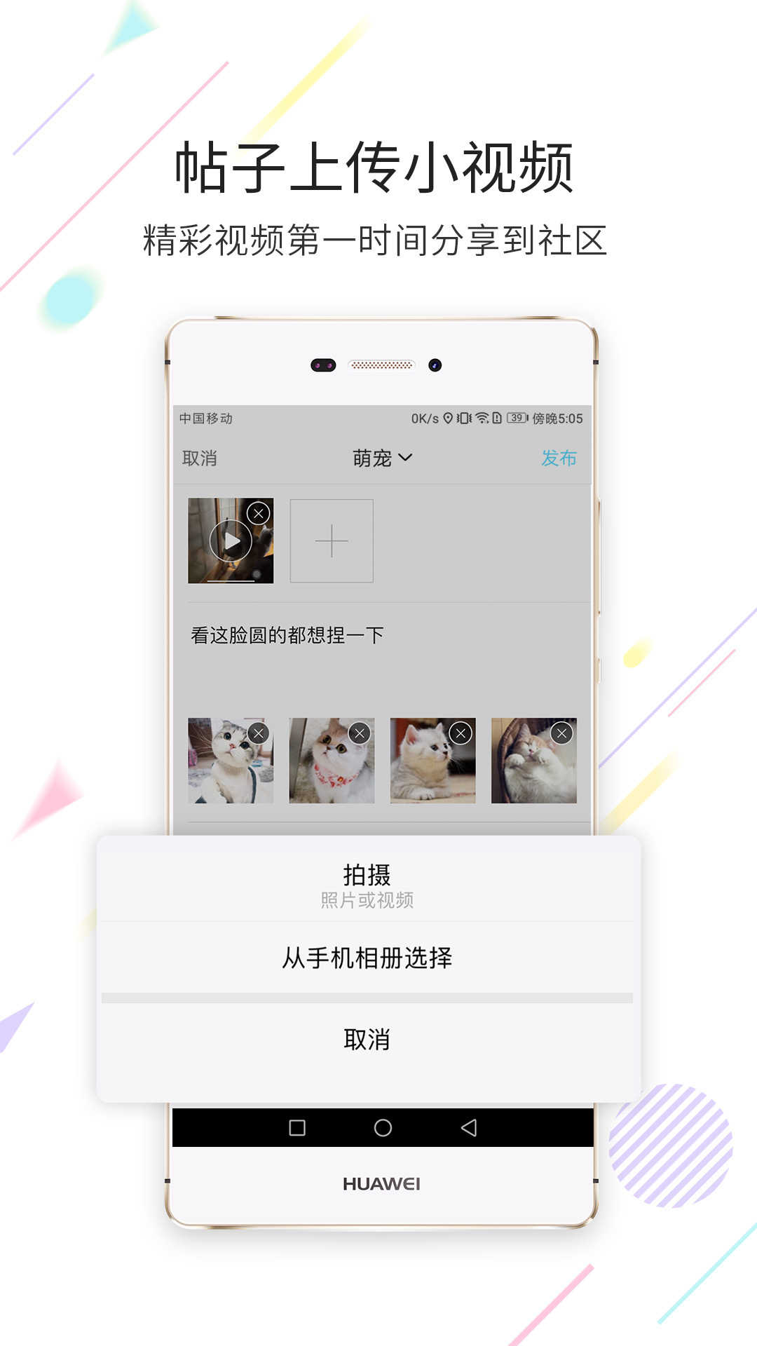 西蜀网安卓官方版
