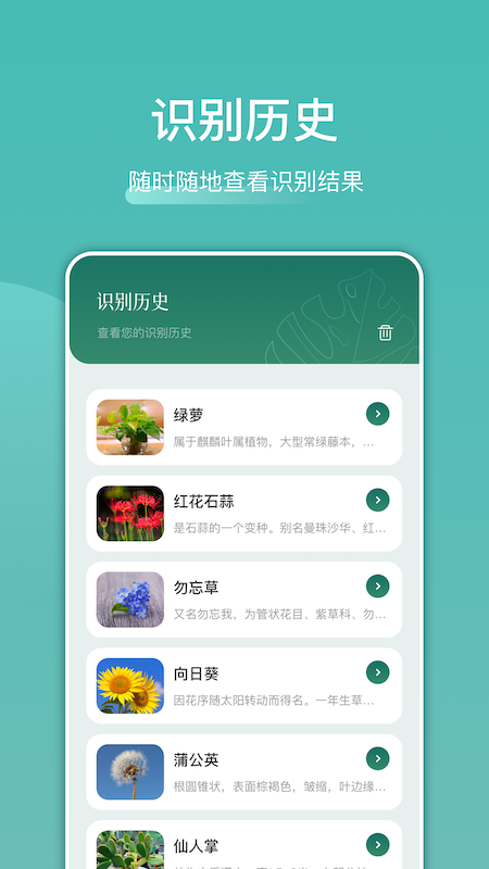 识花识物最新版