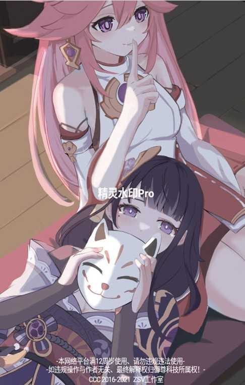 精灵水印Pro官方版
