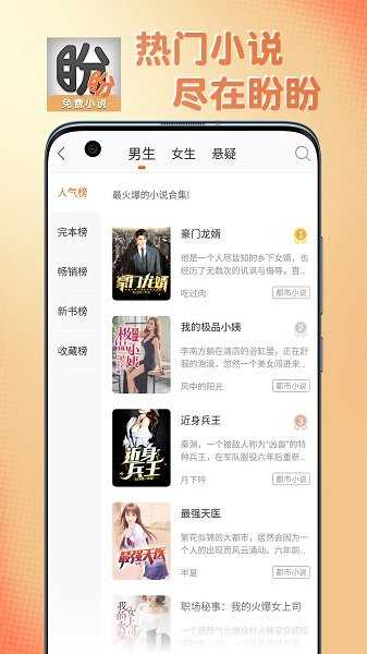 盼盼小说直装版