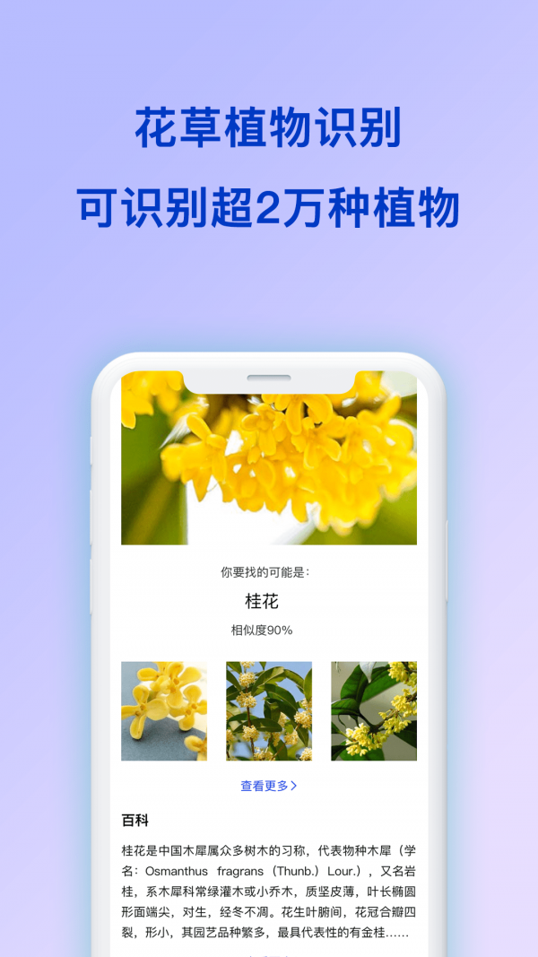 动物识别原版