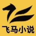 飞马小说手机版 v1.4.0