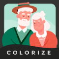 colorizer免费版
