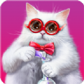 皇家猫咪(RoyalCats)游戏正版