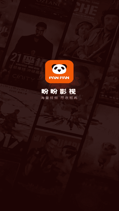 盼盼影视无广告版图4