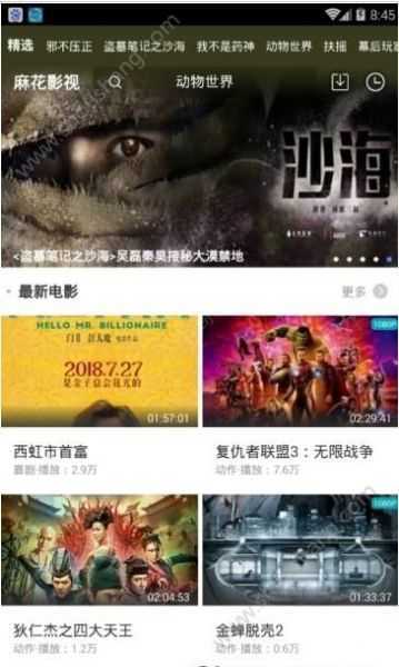 花海影视图1
