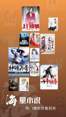 洋葱小说书城原版