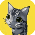 猫咪小能手免费原版