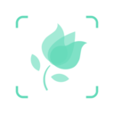识花君APP