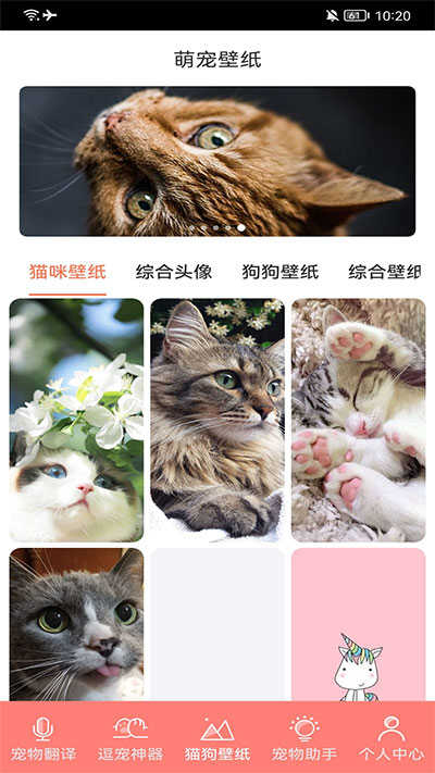 萌宠日常助手通用版图2