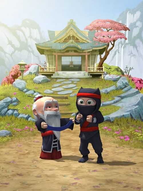 笨拙的忍者通用版