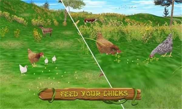 甜鸡模拟器(HenFamilySimulator)最新版图3