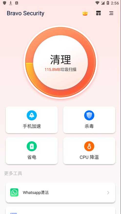 BravoSecurity正版
