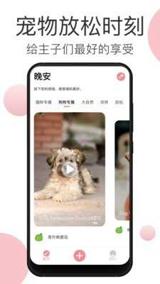 宠物音乐免费版图3
