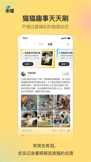 哈啰街猫免费版图2