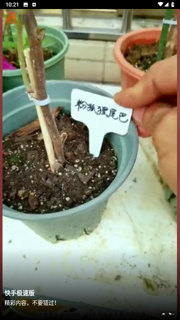 俏佳人影视免费原版图5