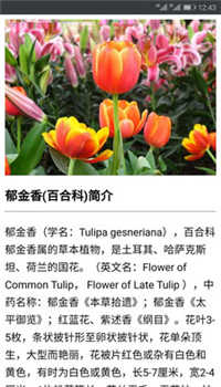 识花君APP