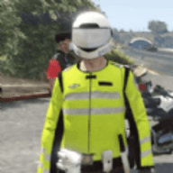 城市警车巡逻原版