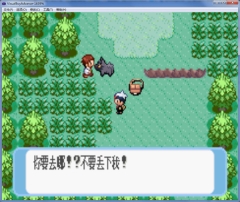 口袋妖怪蓝宝石安卓直装版图3