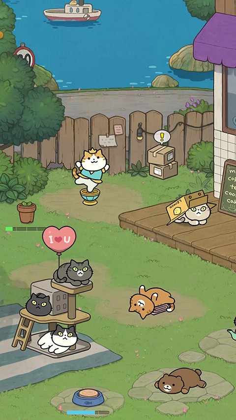 神秘猫咪字典手机正版