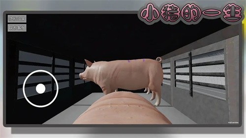 小猪的一生直装版