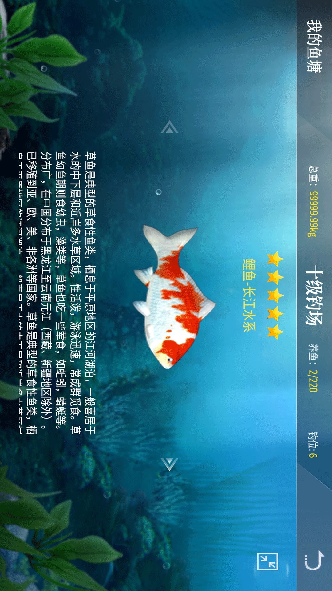 垂钓宗师游戏无广告版