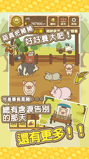 养猪场mix手机免费版