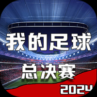 我的足球总决赛通用版