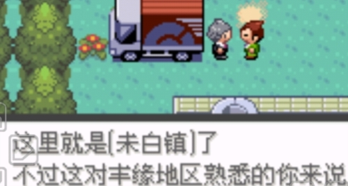 口袋妖怪冠军的旅程游戏纯净版图3