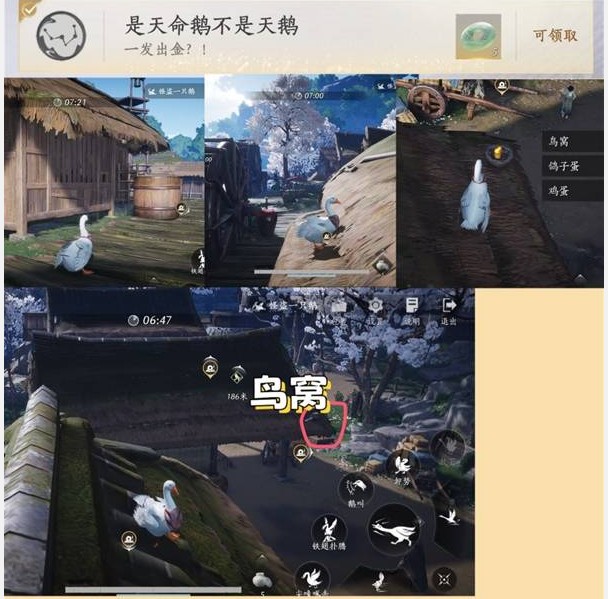 燕云十六声里怪盗一只鹅的9个成就该怎么完成呢？