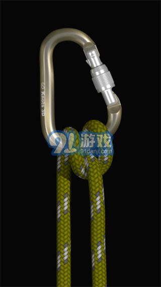 3d绳结(2)