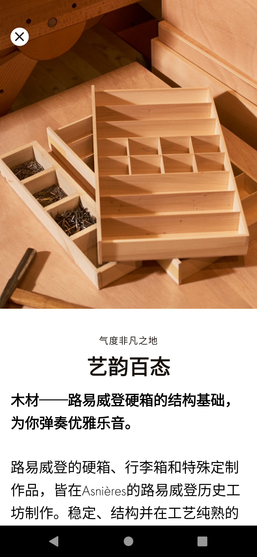 Louis图2