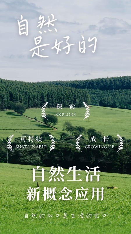 熊猫客(1)