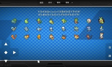 宝可梦世界无极限无广告版图2