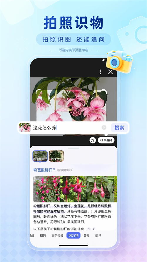 度娘app2026版图3