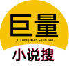 巨量小说搜直装版