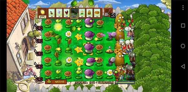 植物大战僵尸SHIS版图3