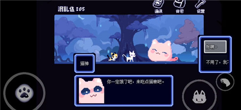 对人类过敏的猫(2)