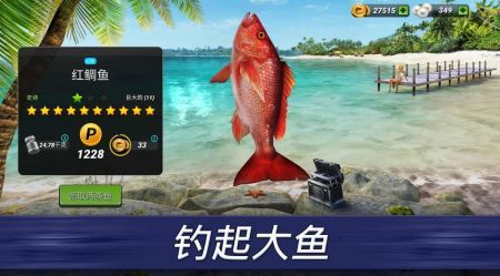 超真实钓鱼最新版图1