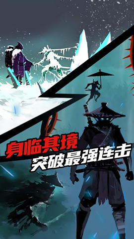 忍者岚图3