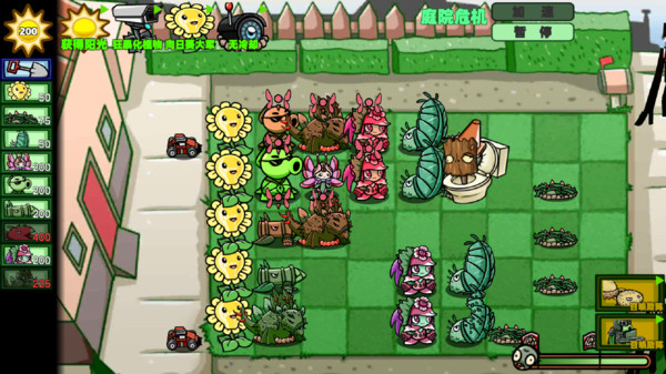 狂野植物战争直装版